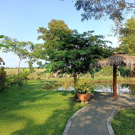 Avalon Village Resort Induruwa Eksteriør billede