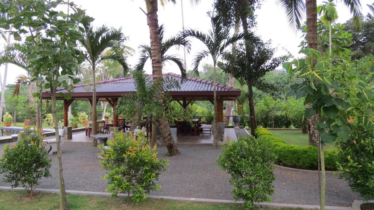 Avalon Village Resort Induruwa Eksteriør billede