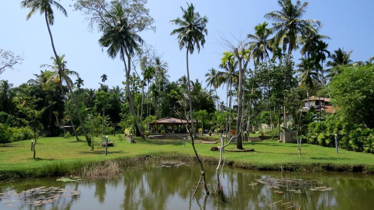 Avalon Village Resort Induruwa Eksteriør billede