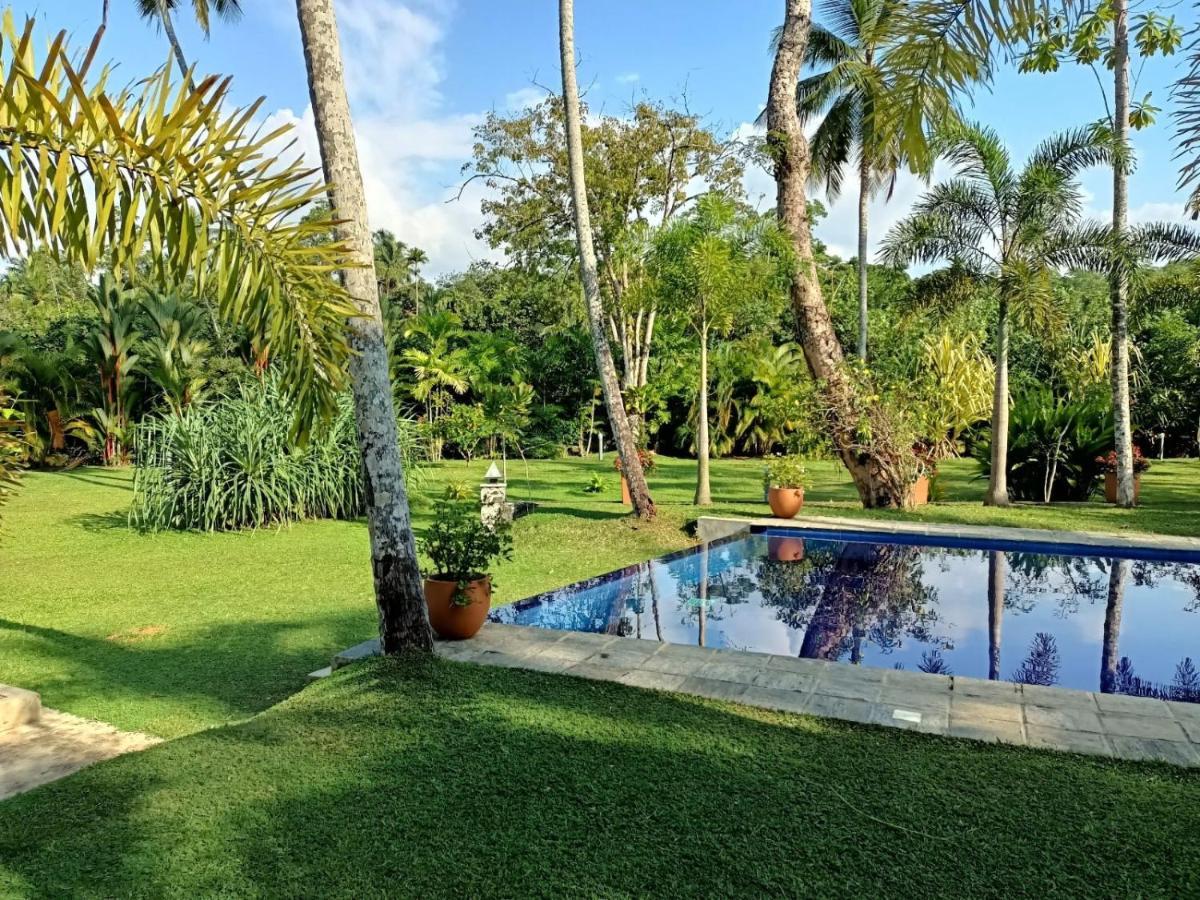 Avalon Village Resort Induruwa Eksteriør billede