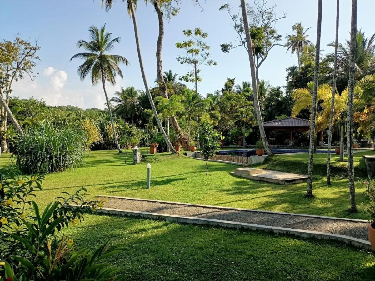 Avalon Village Resort Induruwa Eksteriør billede