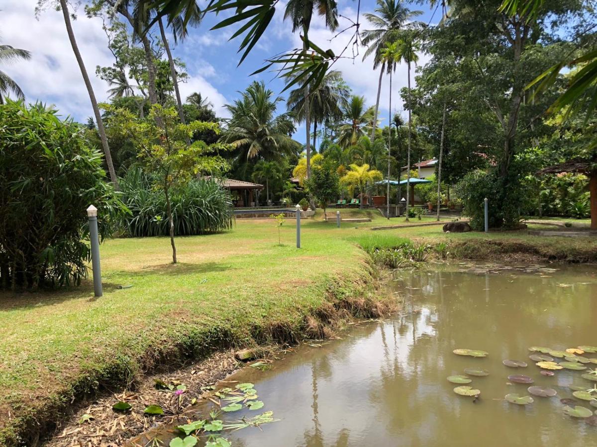 Avalon Village Resort Induruwa Eksteriør billede