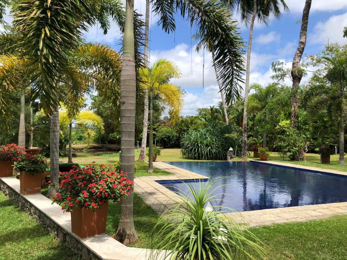 Avalon Village Resort Induruwa Eksteriør billede