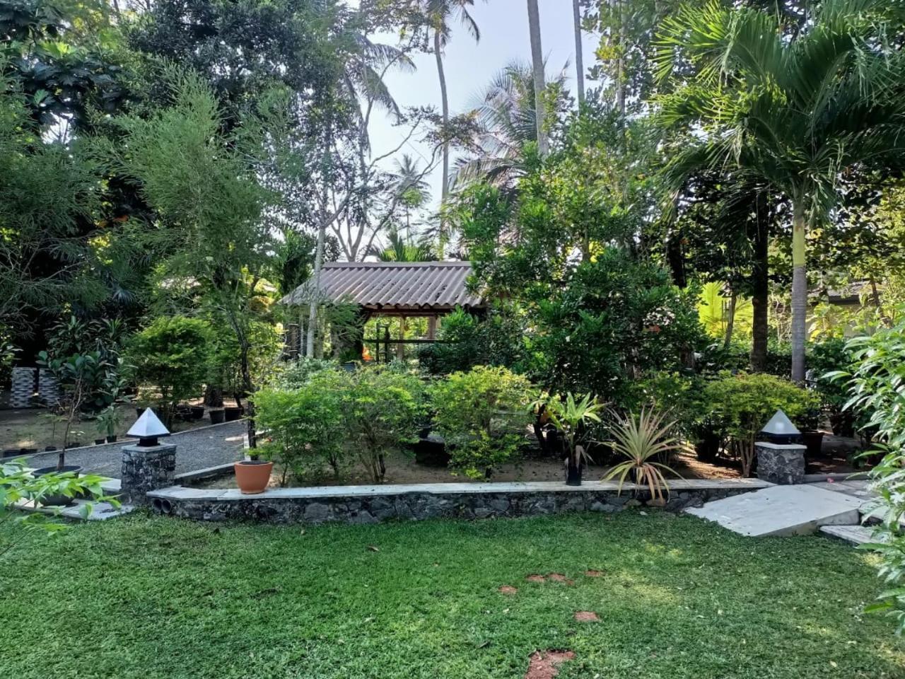 Avalon Village Resort Induruwa Eksteriør billede