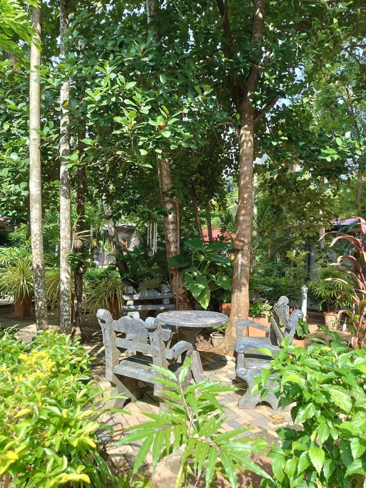 Avalon Village Resort Induruwa Eksteriør billede