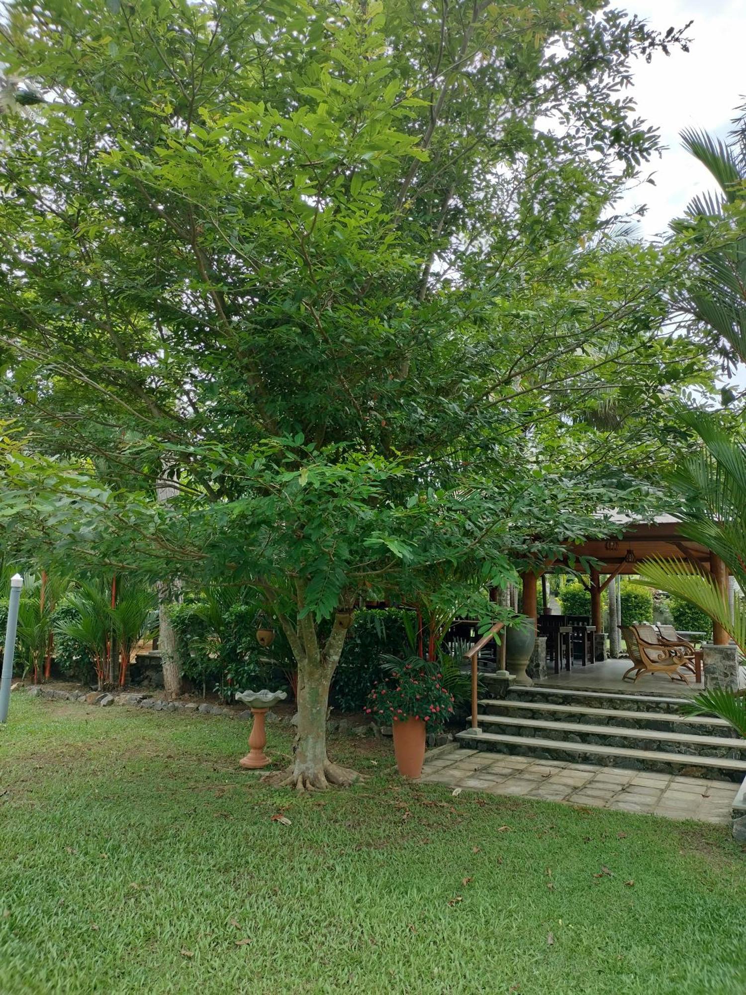 Avalon Village Resort Induruwa Eksteriør billede