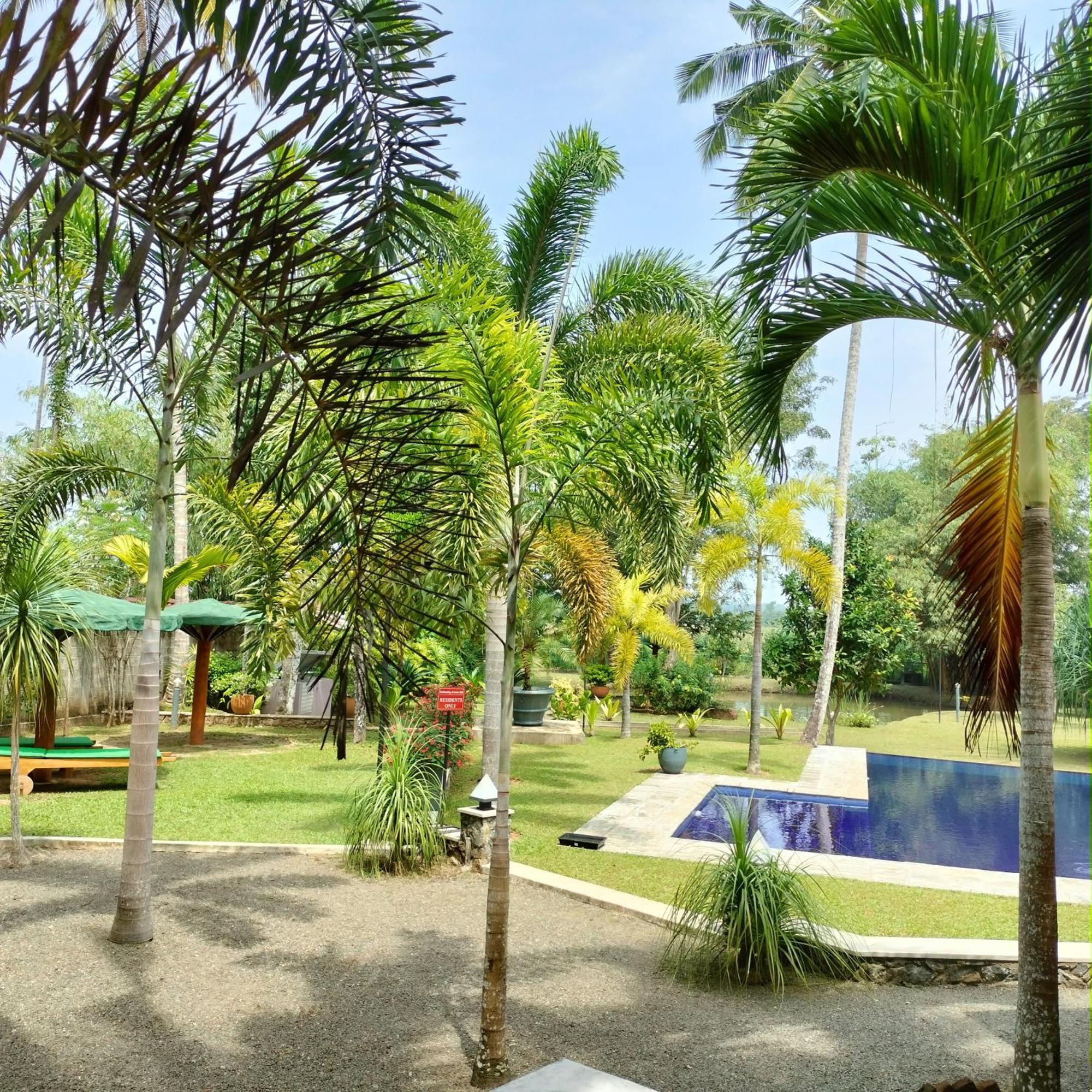 Avalon Village Resort Induruwa Eksteriør billede