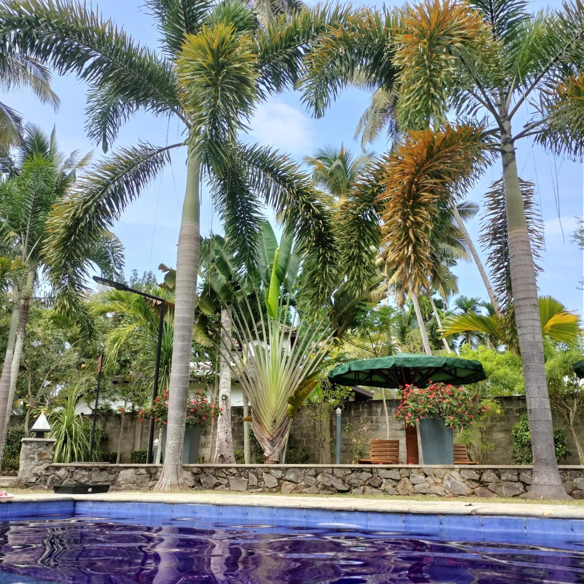 Avalon Village Resort Induruwa Eksteriør billede