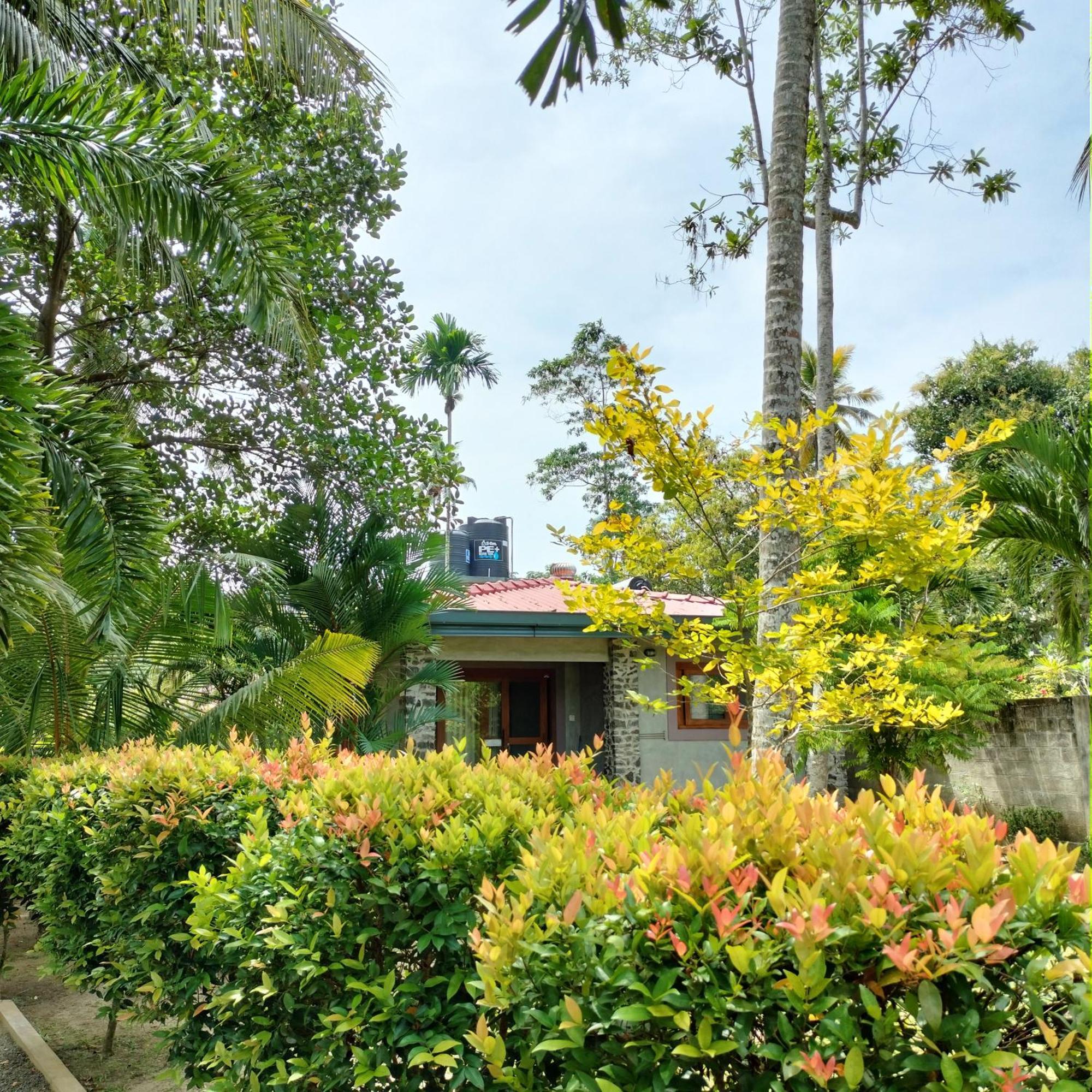 Avalon Village Resort Induruwa Eksteriør billede