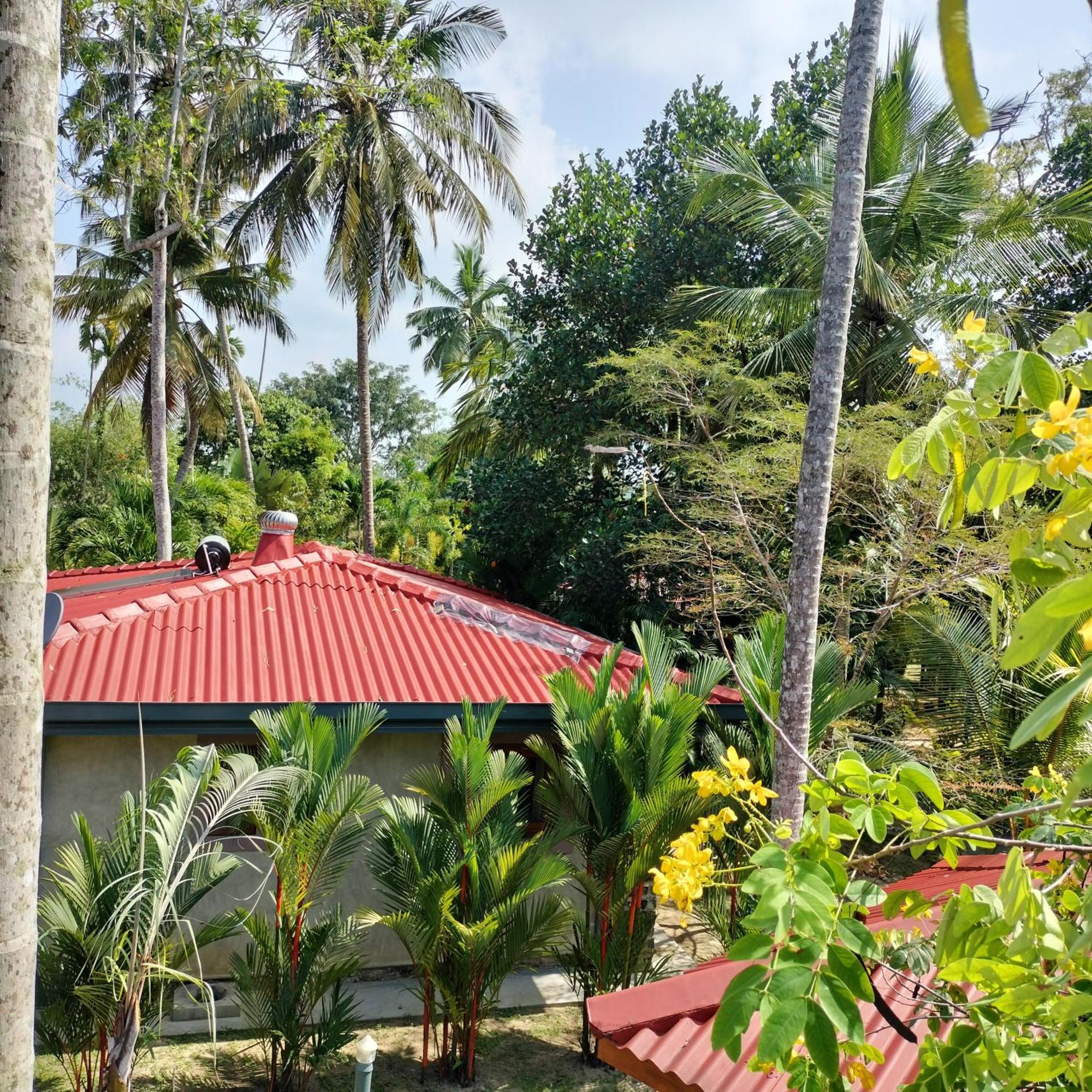 Avalon Village Resort Induruwa Eksteriør billede