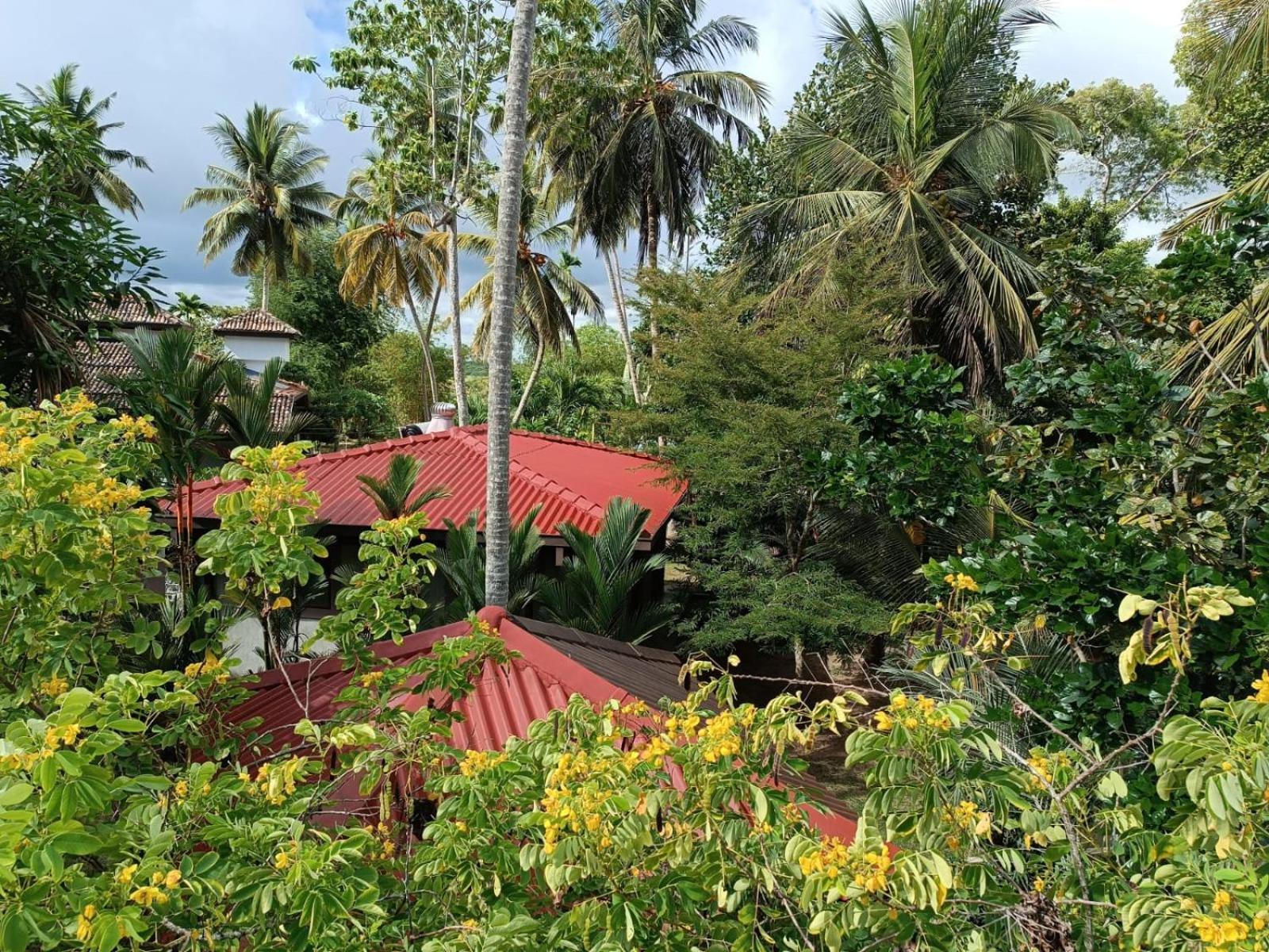 Avalon Village Resort Induruwa Eksteriør billede