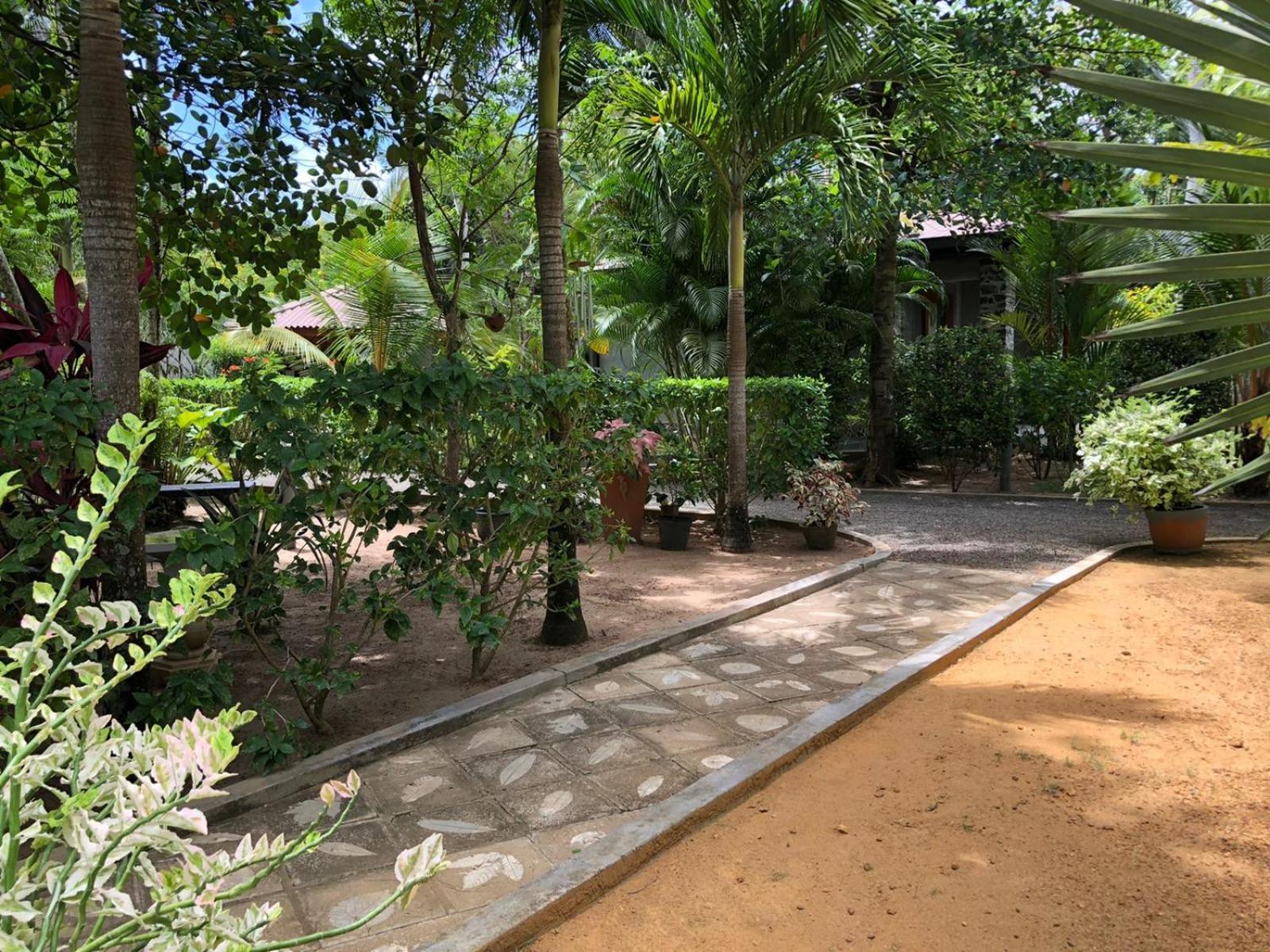 Avalon Village Resort Induruwa Værelse billede